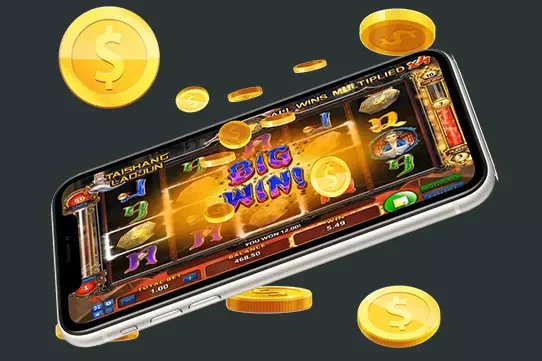 8877 win